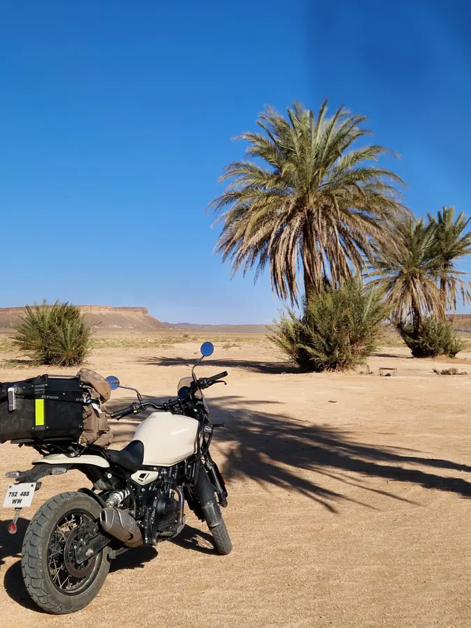 Moto2Kech motorcycle parked under palm trees in southern Morocco