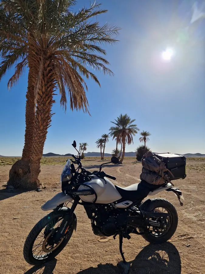 Adventure motorcycle under palm trees on a Morocco road trip